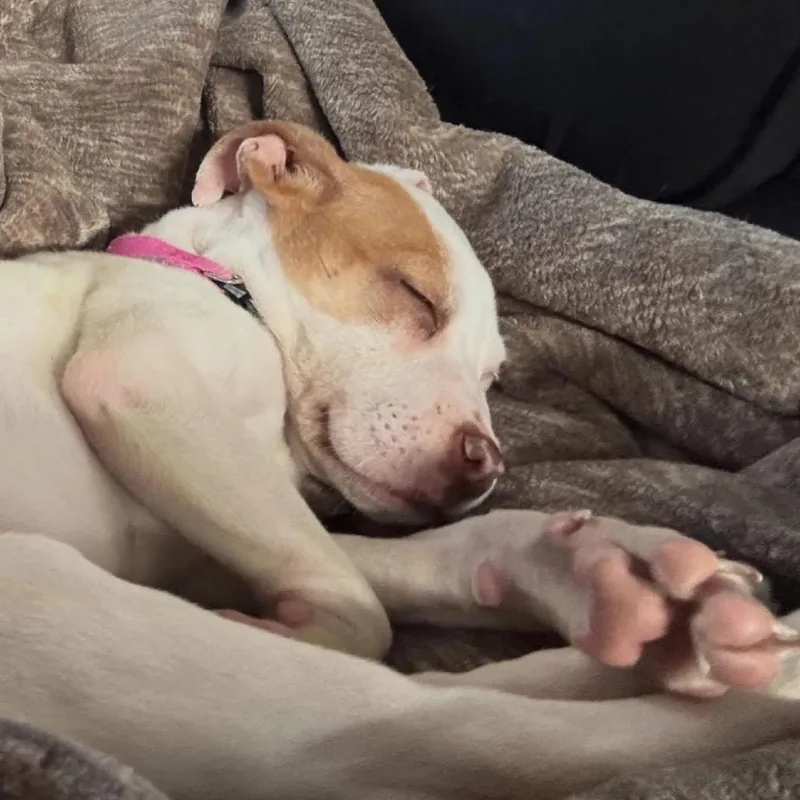 Florence thumbnail 4