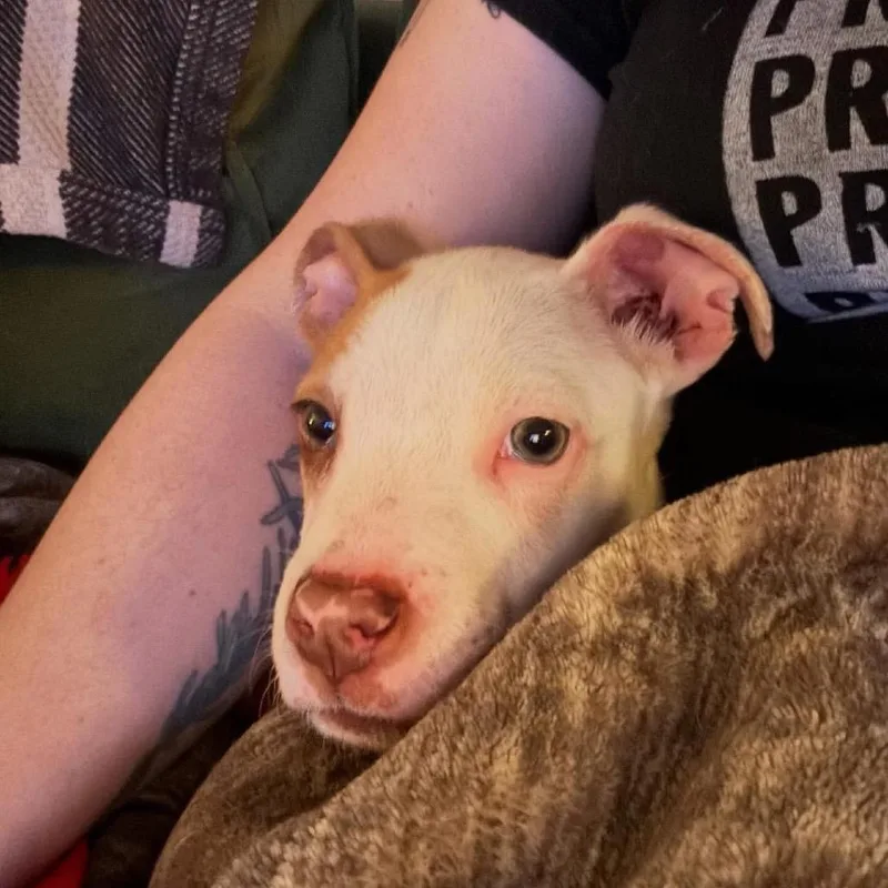 Florence thumbnail 6