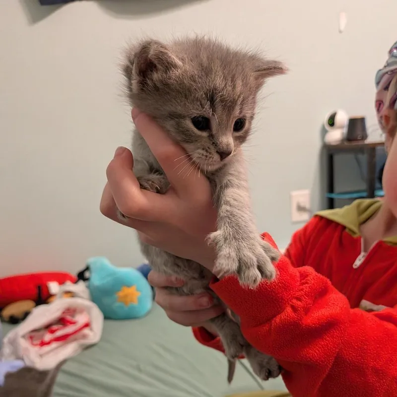 Zoey thumbnail 2