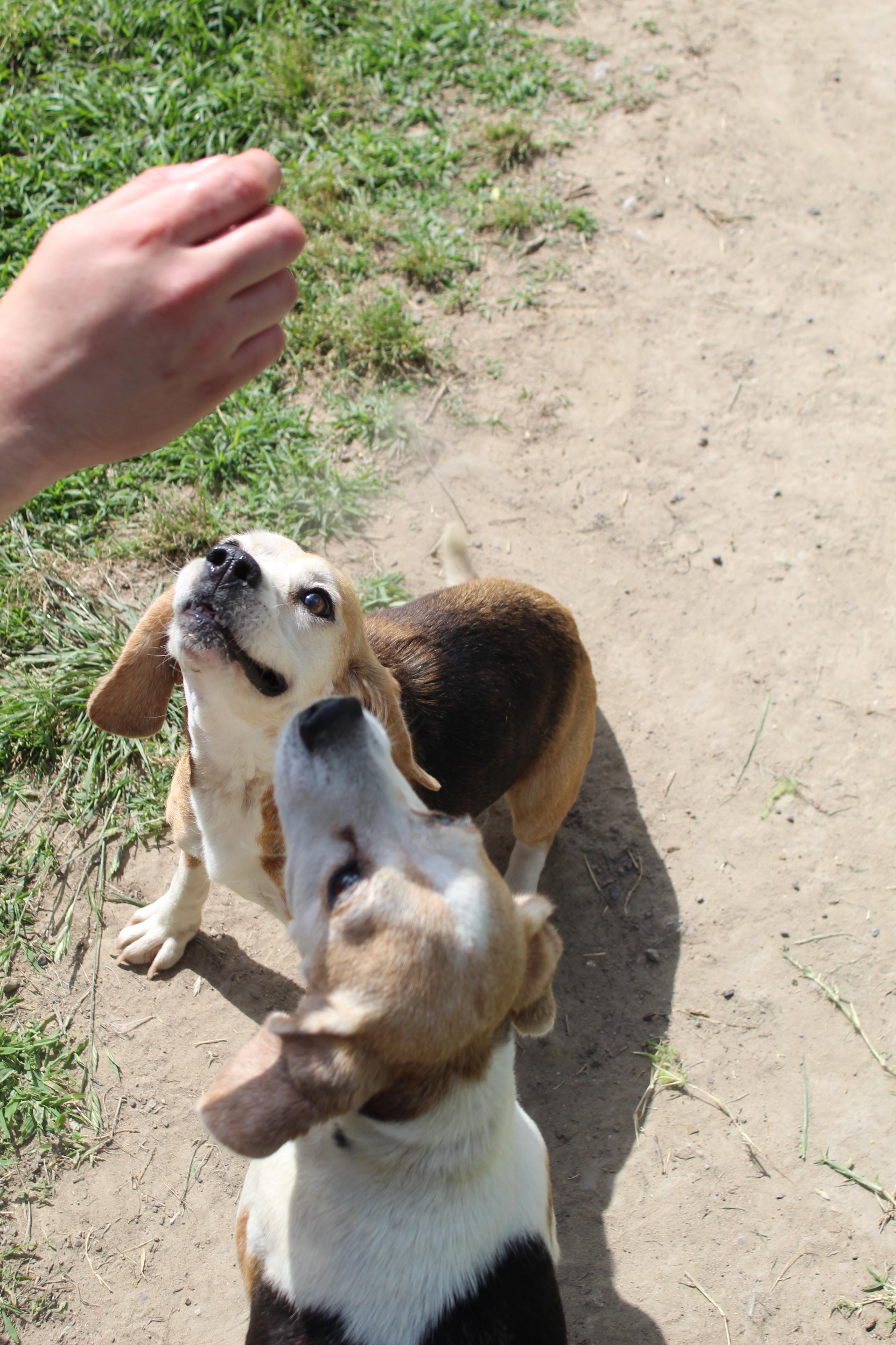 Lucy thumbnail 2