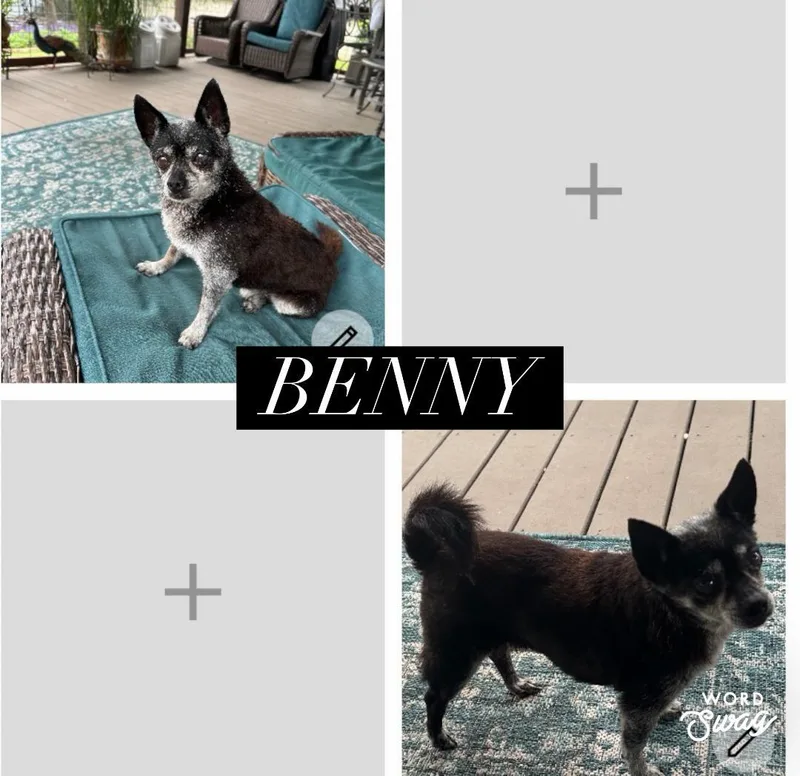 Benny