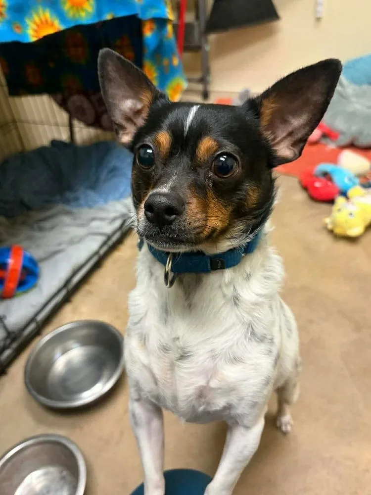 Hercules thumbnail 2