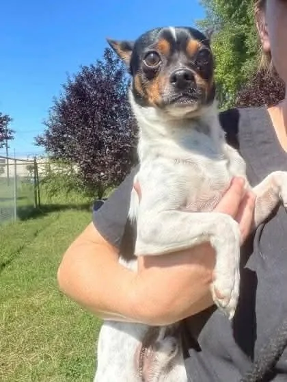 Hercules thumbnail 3