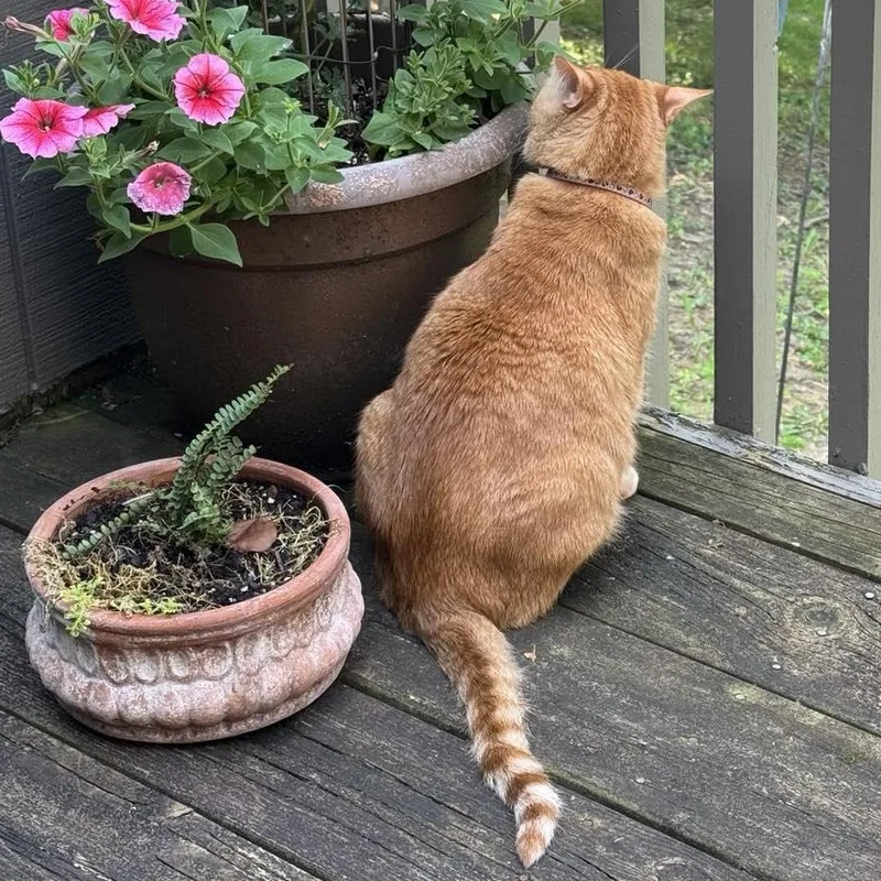 Saber & Sabrinabonded thumbnail 2