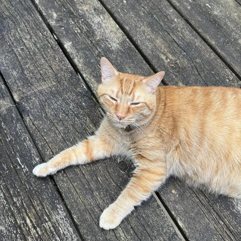 Saber & Sabrinabonded thumbnail 4