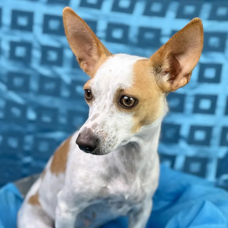 Libby  My What thumbnail 2