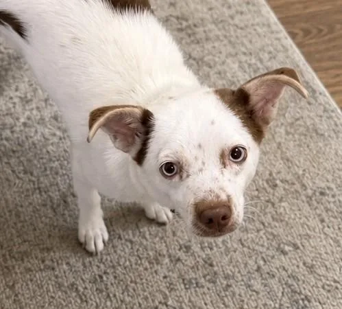 Benny