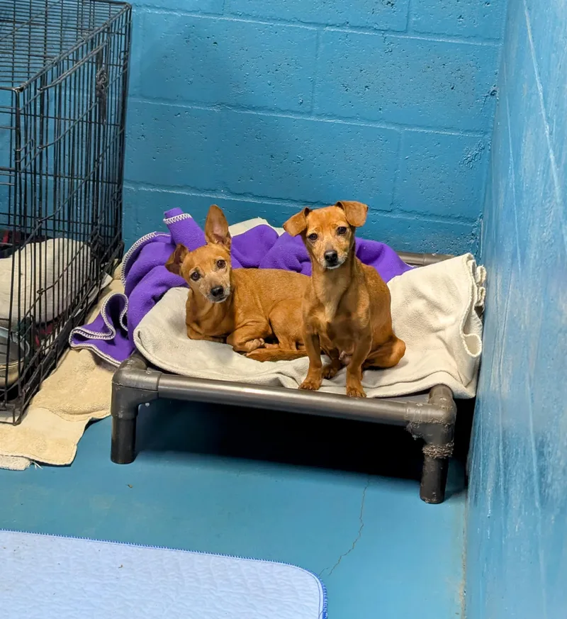 Mary Kate thumbnail 2