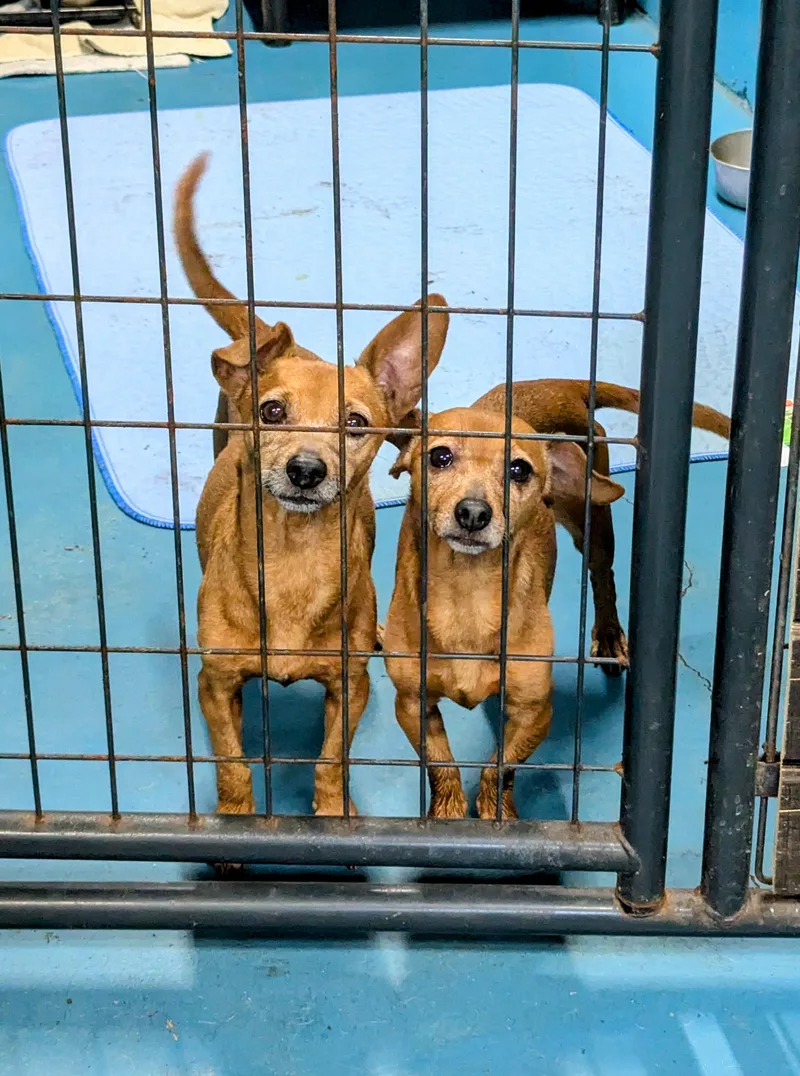 Mary Kate thumbnail 3