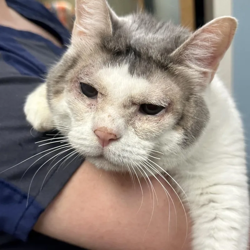 Debbie Pebbles thumbnail 3