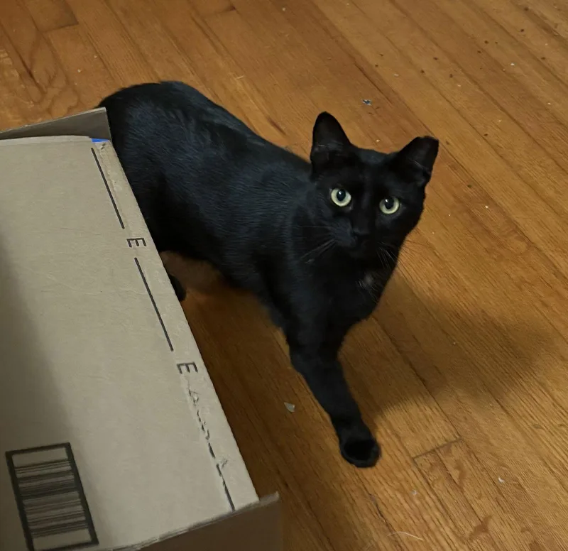 Pepper thumbnail 3