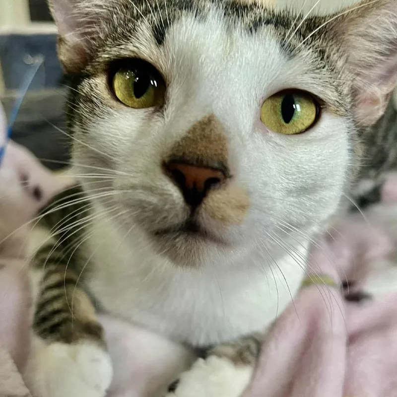 Butters Abner thumbnail 3