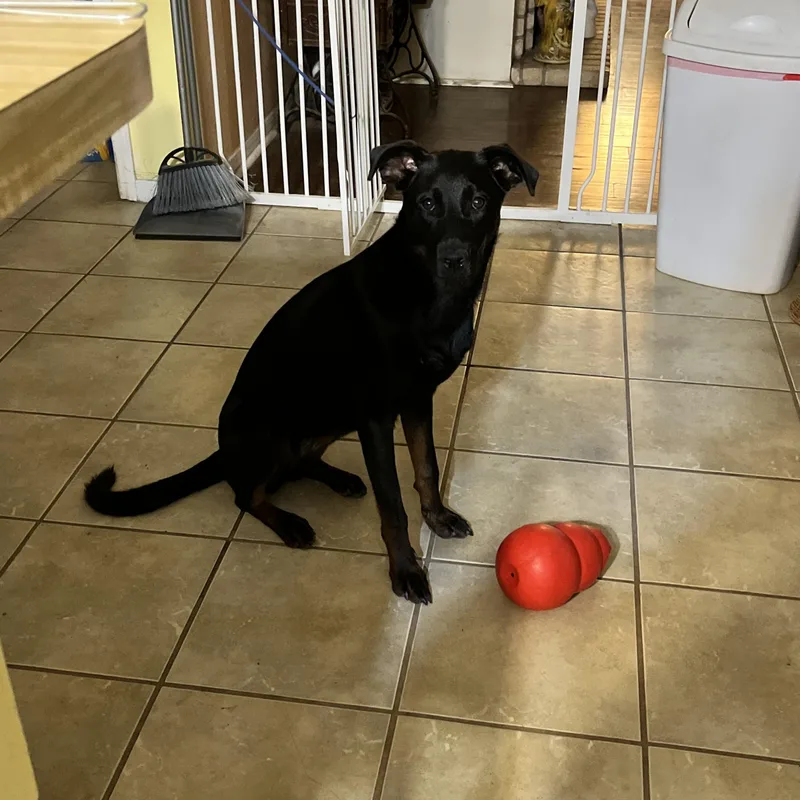 Penelope Anne thumbnail 2