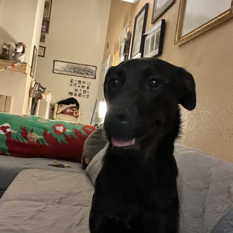 Penelope Anne thumbnail 3