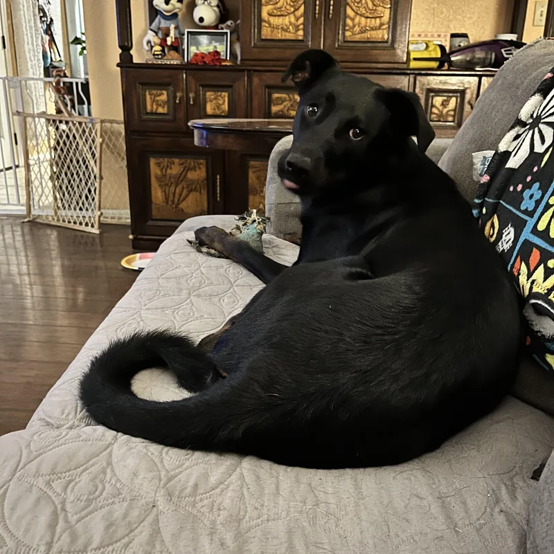 Penelope Anne thumbnail 4