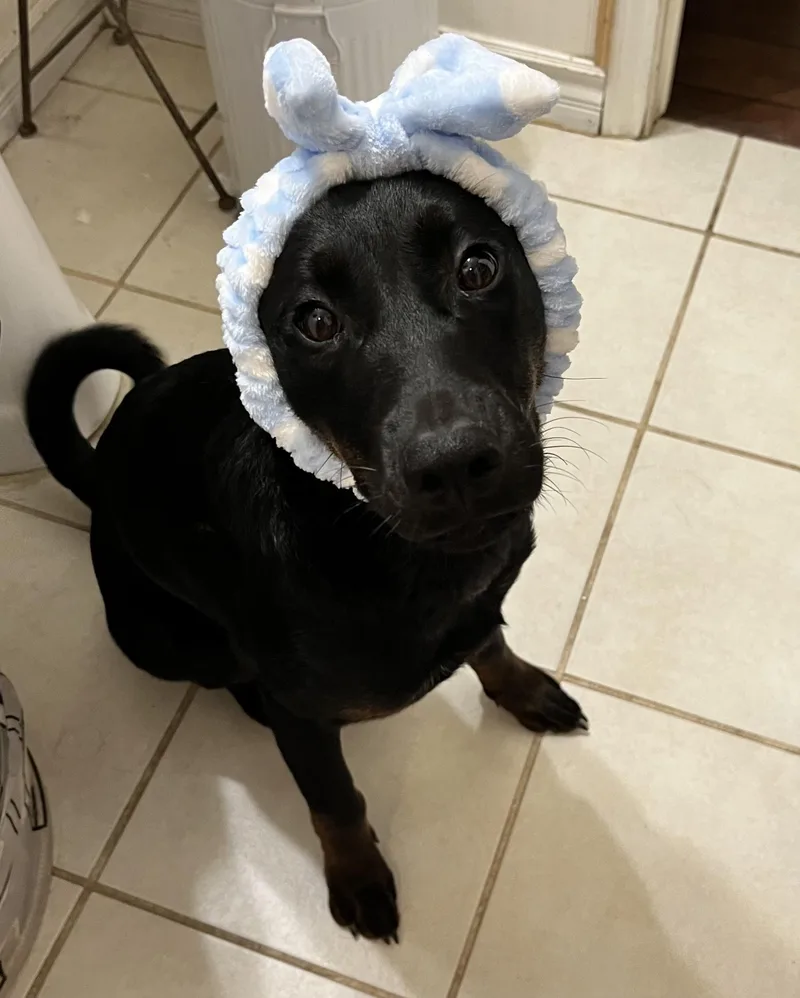 Penelope Anne thumbnail 5