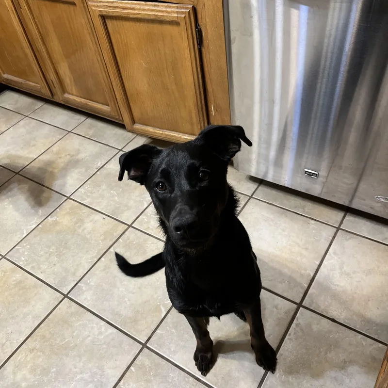 Penelope Anne thumbnail 6