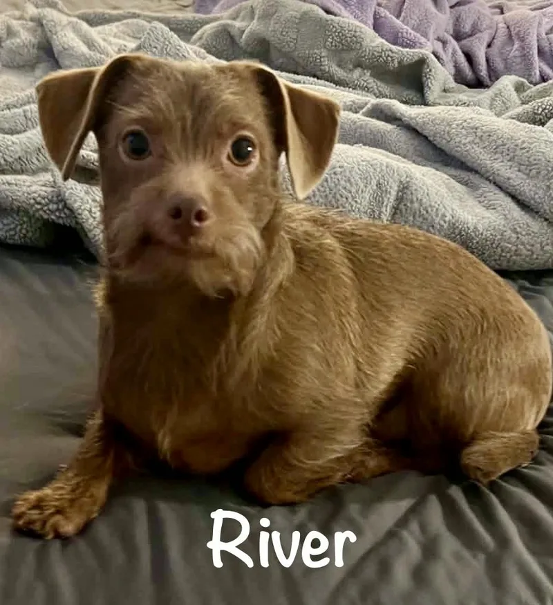 River ALMN