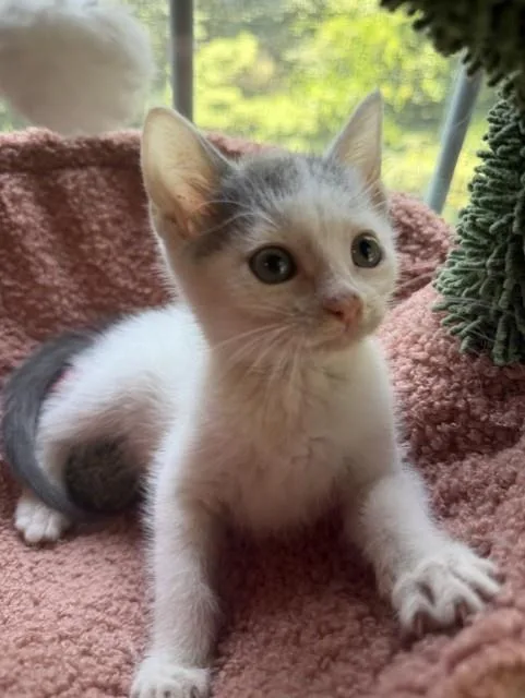 Eugene