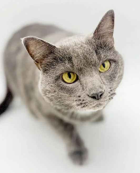 Ash!  Bff To thumbnail 2