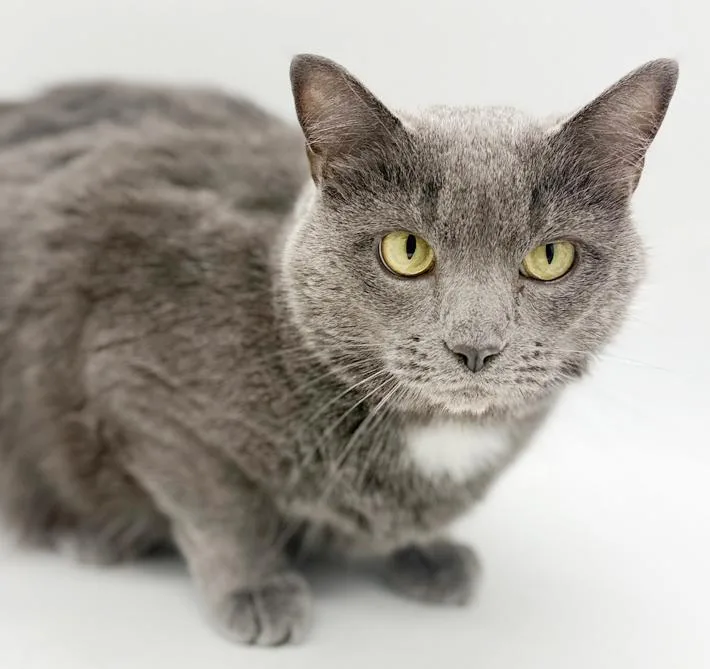 Ash!  Bff To thumbnail 3