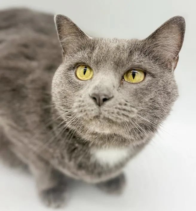 Ash!  Bff To thumbnail 4