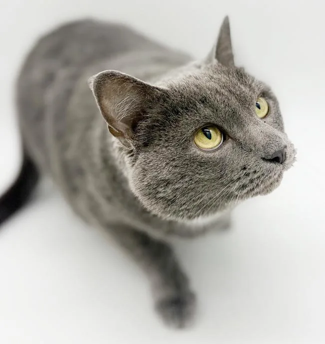 Ash!  Bff To thumbnail 5