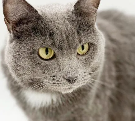 Ash!  Bff To thumbnail 6