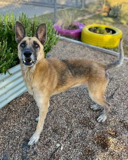 Darla Jean thumbnail 2