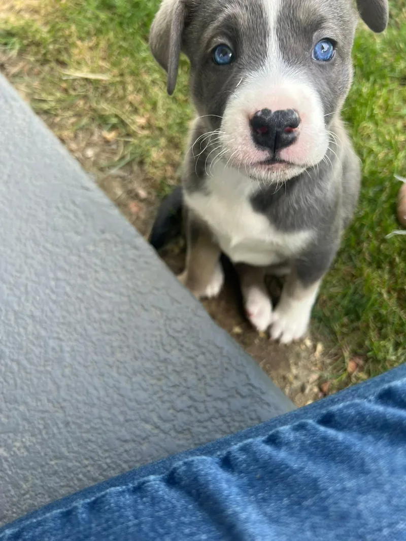Etta