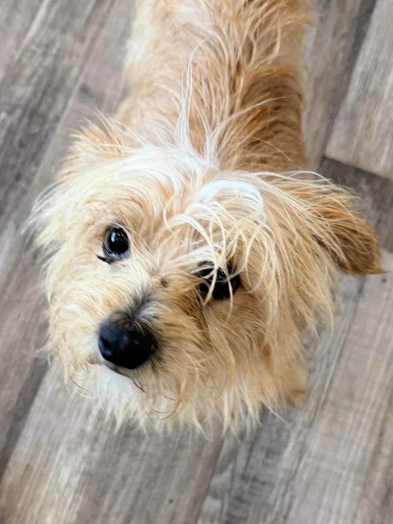 Tucker