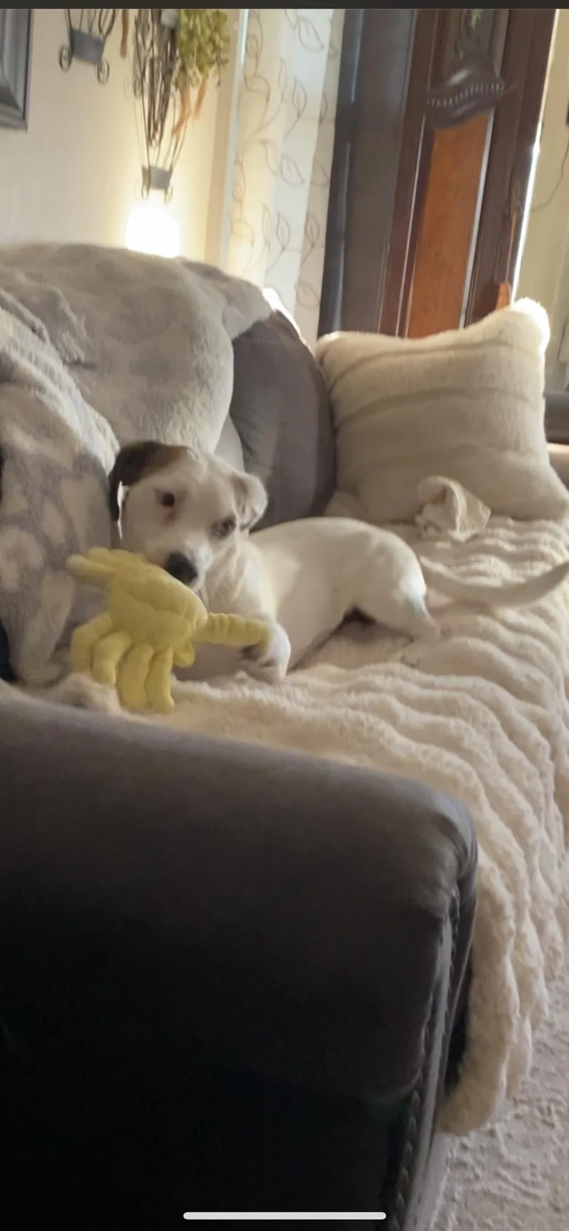Sheila