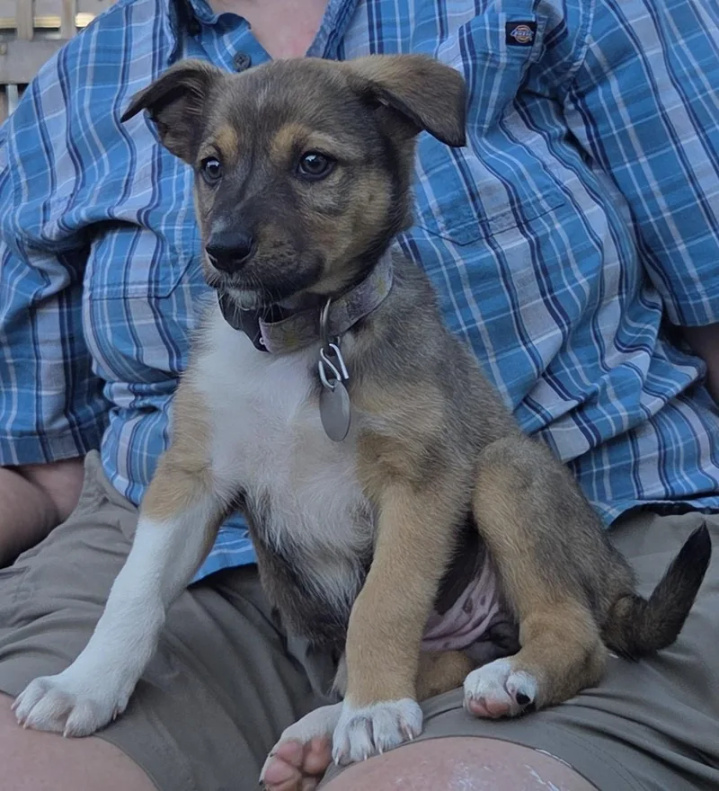 Skye thumbnail 3