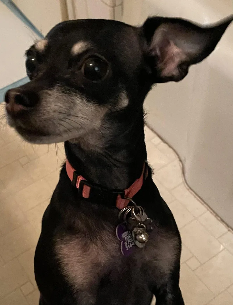 Thelma