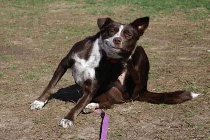 Pretty Girl thumbnail 2