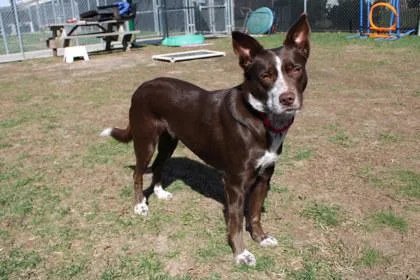 Pretty Girl thumbnail 3