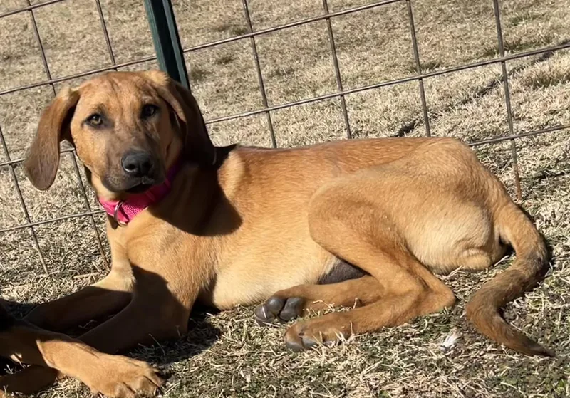 Strawberry And Kiwi thumbnail 3