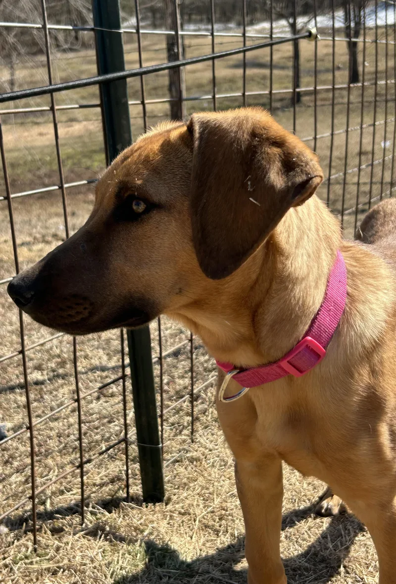 Strawberry And Kiwi thumbnail 5