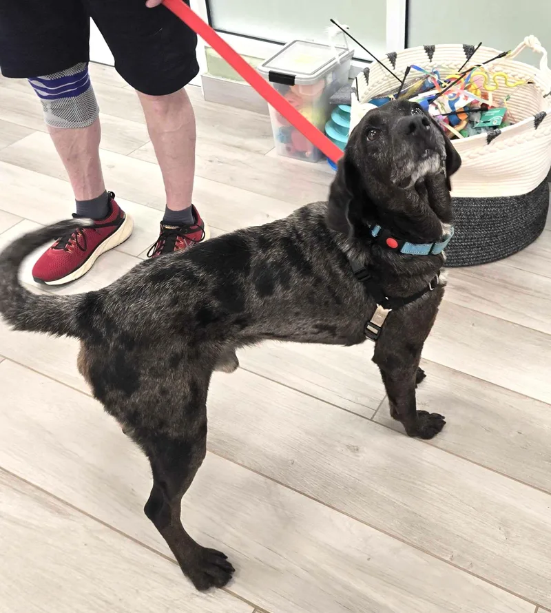 Toyota Tundra thumbnail 3