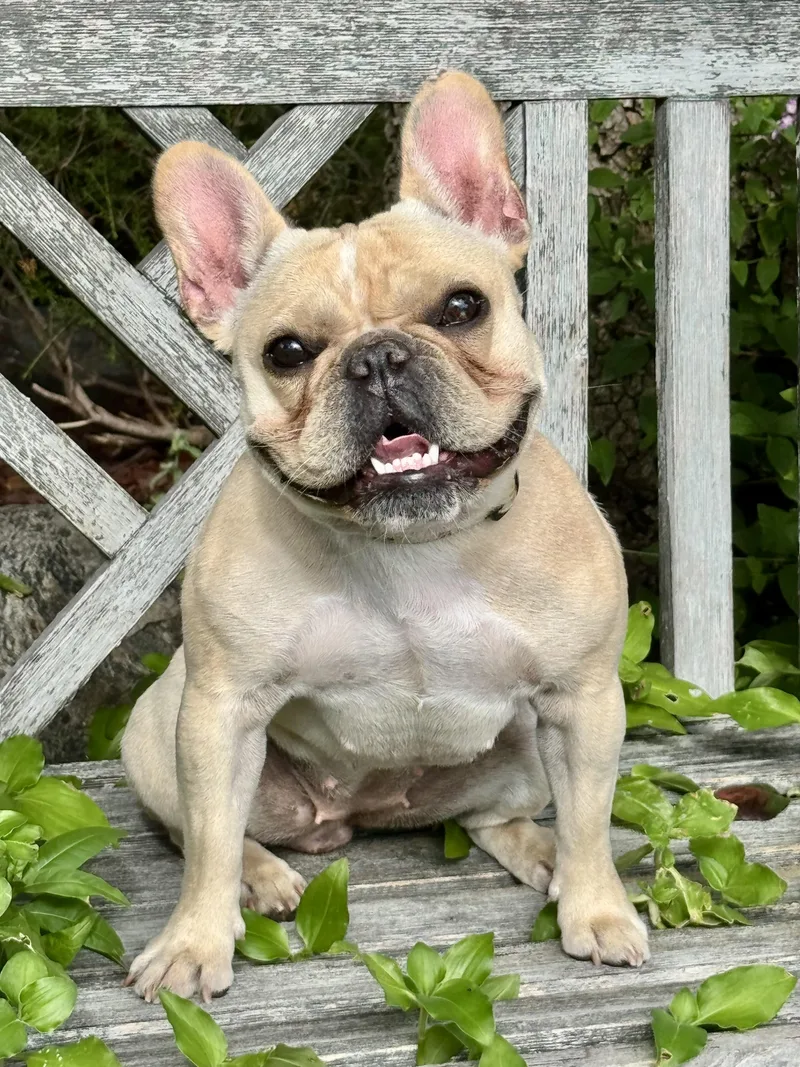 Eloise