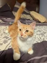 Rosie thumbnail 2