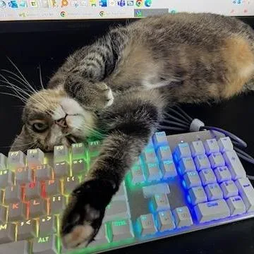 Patience thumbnail 3