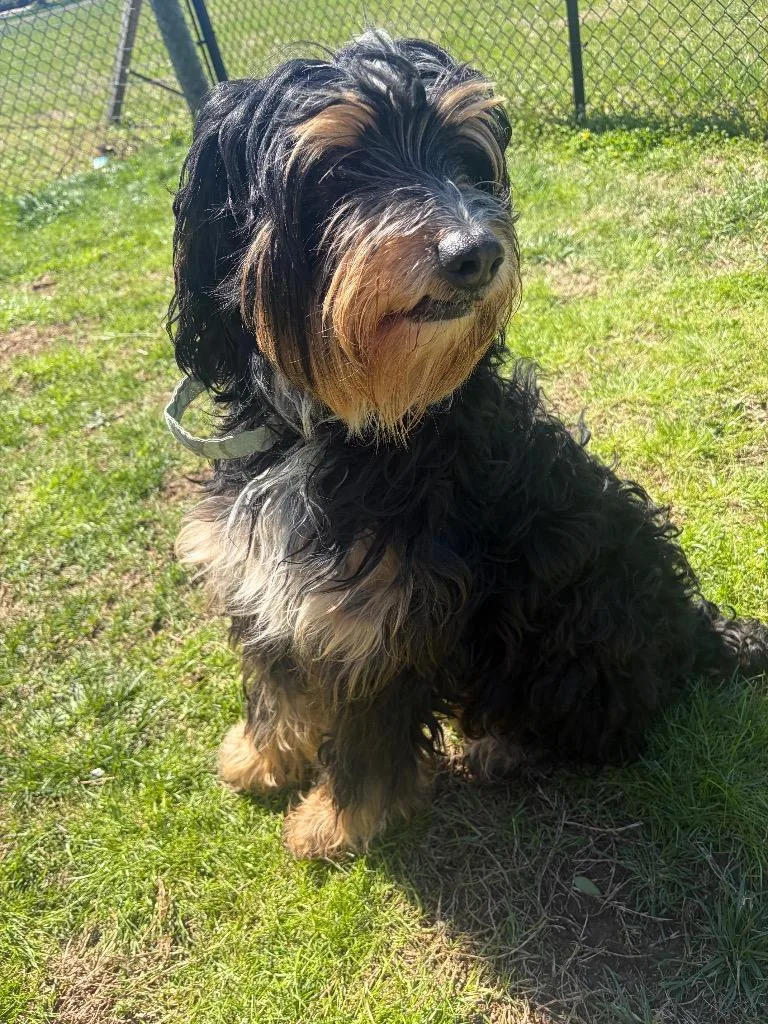 Norma Jean thumbnail 2