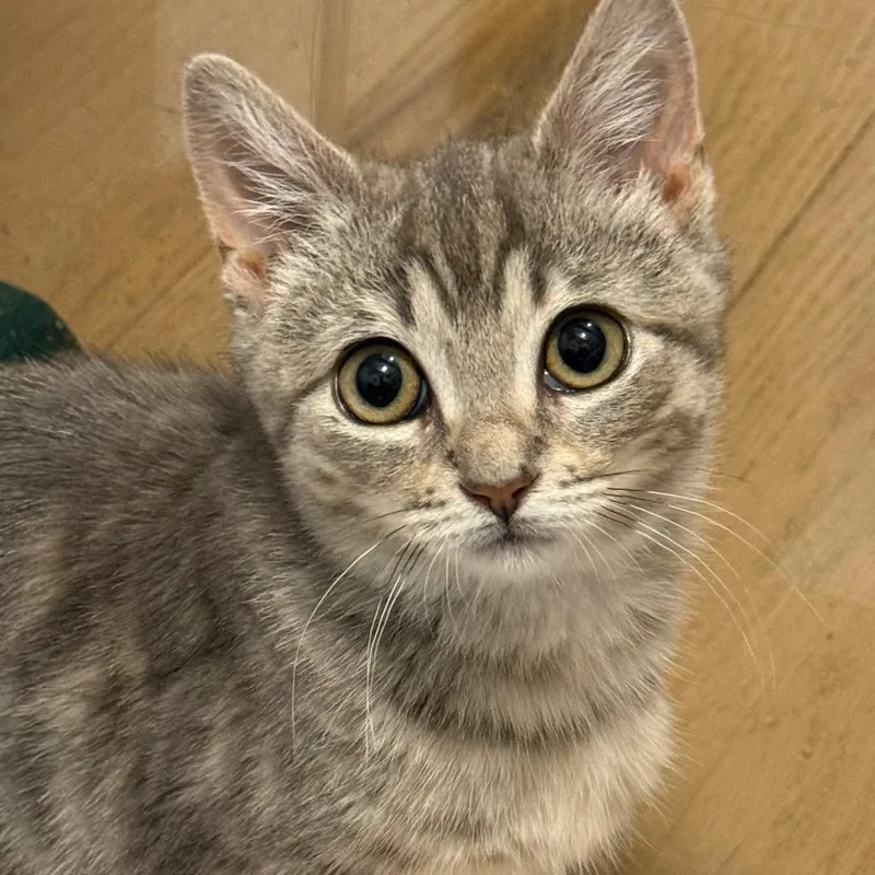 Sam Super Bubbles thumbnail 2