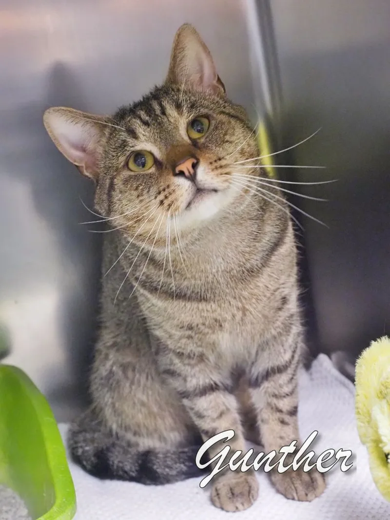 Gunther