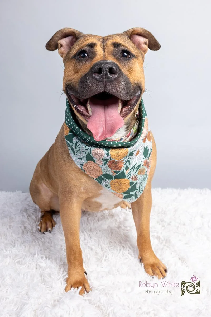 Daisy May thumbnail 2