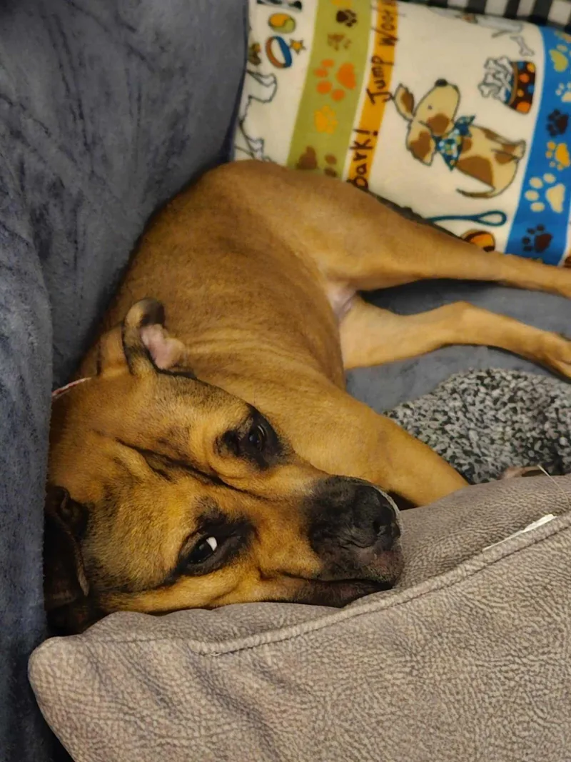 Daisy May thumbnail 3