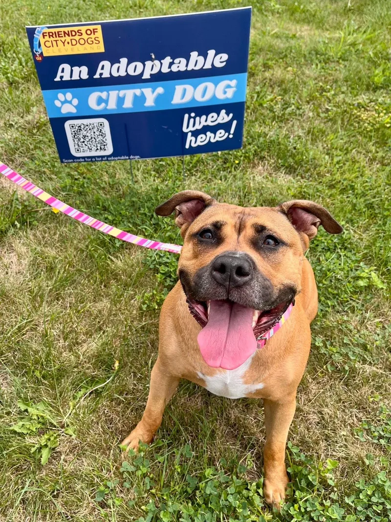 Daisy May thumbnail 5