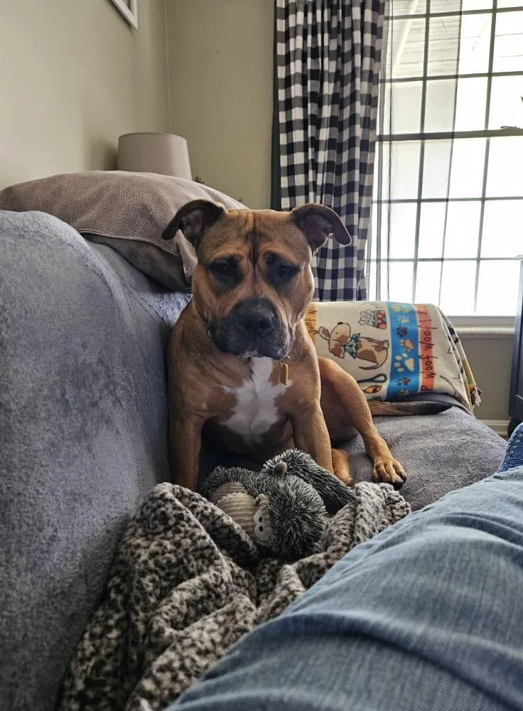 Daisy May thumbnail 6