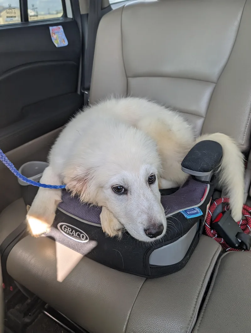 Marshmallow Fluff thumbnail 3